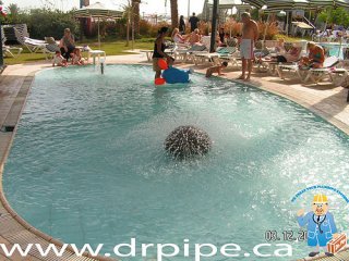 outdoor-pool