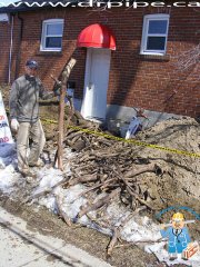 huge-tree-roots-that-blocked-drain-pipe