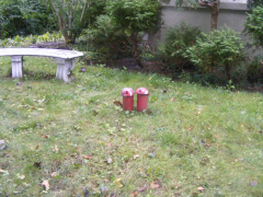 before1