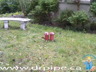 building-traps-on-storm-and-sewer-systems