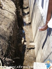 tree-roots-blockage