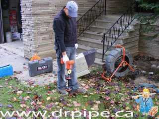 Damaged Drain Pipe