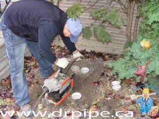 Snake to cut tree roots