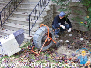 Drain Service Calls
