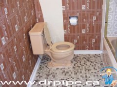 old-toilet-5-ft-bathtub