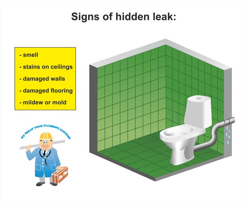 Signs of a Hidden Plumbing Leak