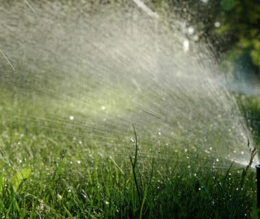 Sprinkler System
