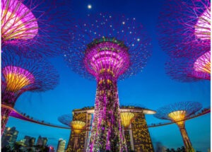 Landscape-Architecture-Projects