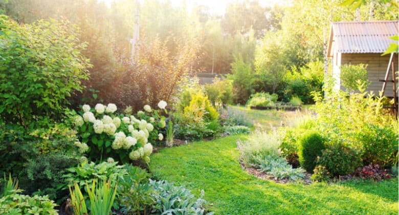 Installing-The-Irrigation-System